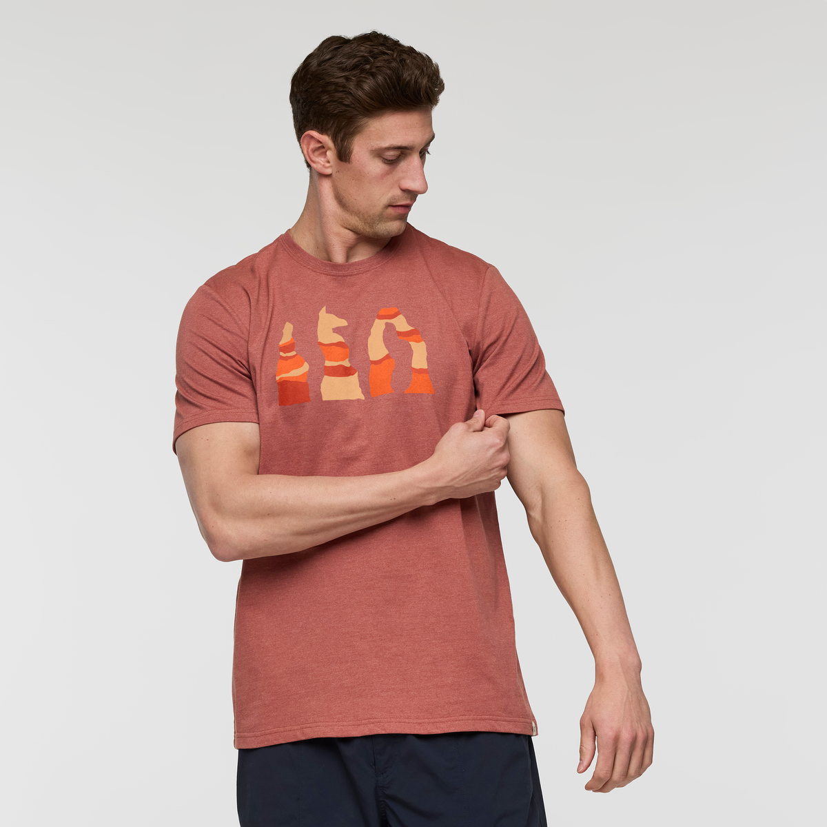 Llama Hoodoo T-Shirt - Men's